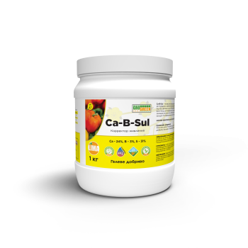 Гель Ca-B-Sul 1кг